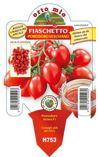 Pomodoro Vesuviano Fiaschetto Arneo F1 Vaso 10 Cm - Giardango