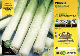 Porro Gigante Mateiko Vaschetta 12 Piantine