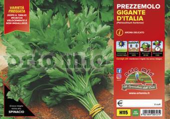 Prezzemolo Titan Vaso 10 Cm