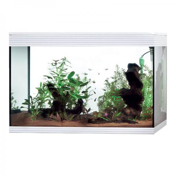 Askoll Pure Led XL HC Marino - Giardango