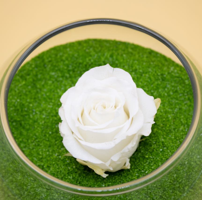 Bomboniera con Rosa Stabilizzata e Sabbia Verde in Boccia di Vetro - Giardango