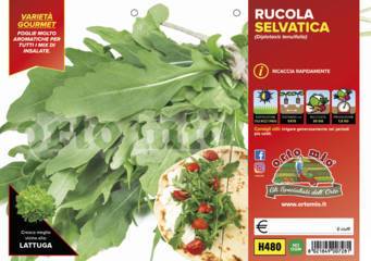Rucola Selvatica Vaschetta 9 Piantine