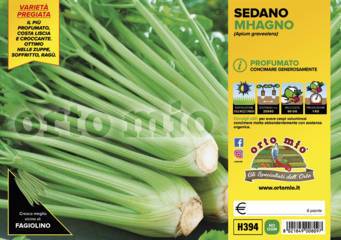 Sedano Profumato Mhagno Vaschetta 6 Piantine