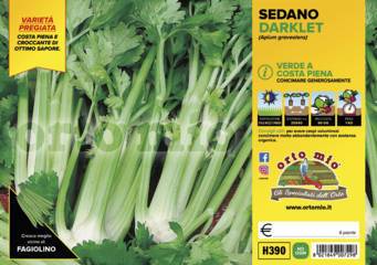 Sedano Verde Darklet Vaschetta 6 Piantine