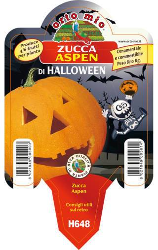 Zucca Halloween Vaso 10 Cm - Giardango