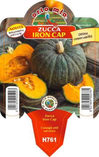 Zucca Iron Cap Tetsukabuto F1 Vaso 10 Cm