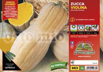 Zucca Lunga Violina Vaschetta 4 Piantine