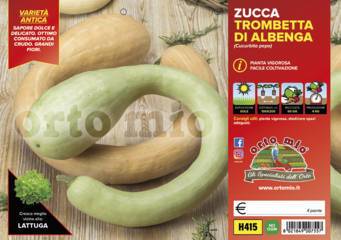 Zucca Trombetta d'Albenga Vaschetta 4 Piantine