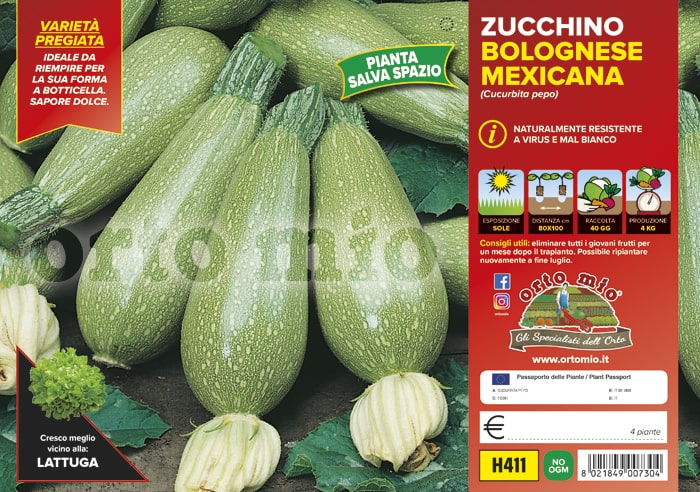 Zucchino Bolognese da Riempiere Mexicana F1 Vaschetta 4 Piantine