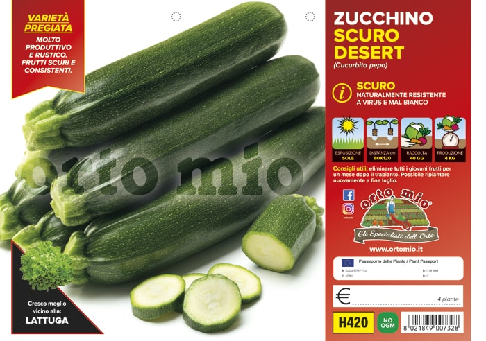 Zucchino Scuro Desert Vaschetta 4 Piantine