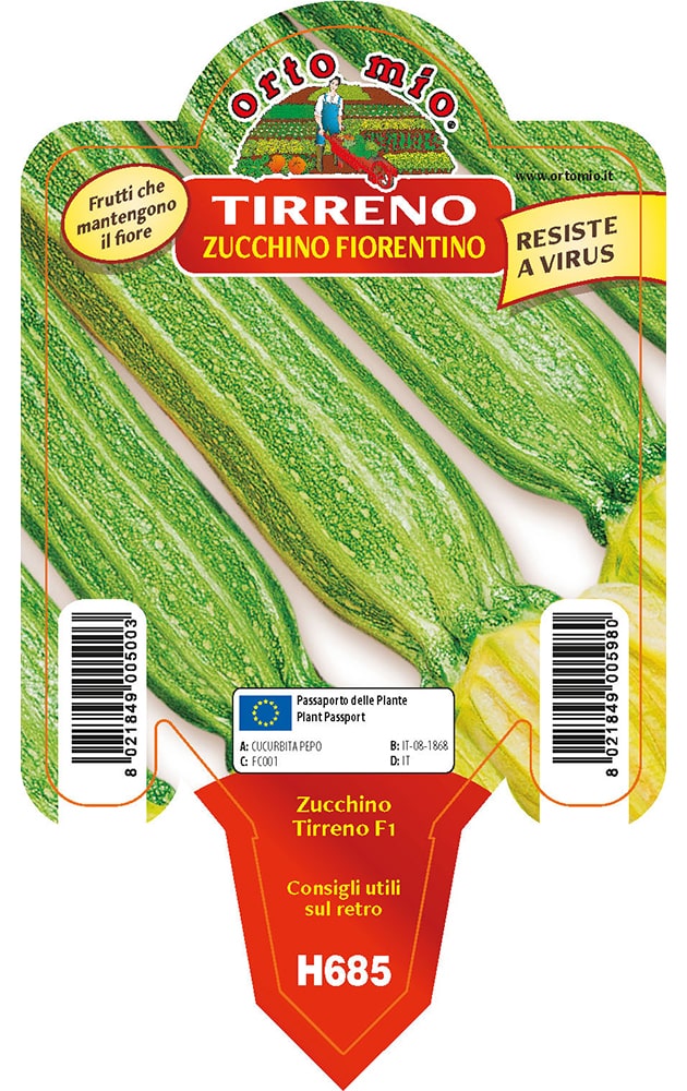 Zucchino Lungo Fiorentino Tirreno Vaso 10 Cm
