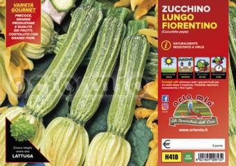 Zucchino Lungo Fiorentino Var. Tirreno F1 Vaschetta 4 Piantine