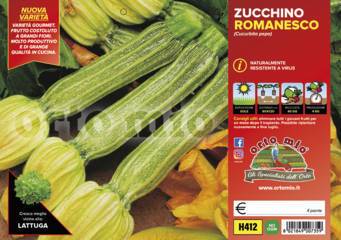 Zucchino Romanesco Floridus Vaschetta 4 Piantine