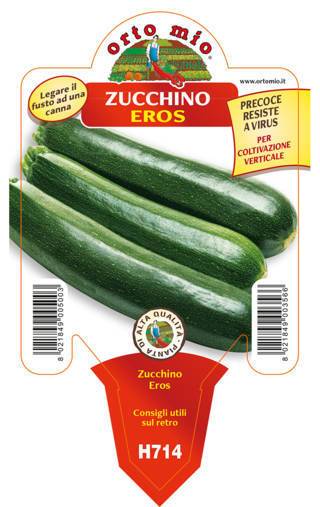 Zucchino Scuro Rampicante Eros Vaso 10 Cm