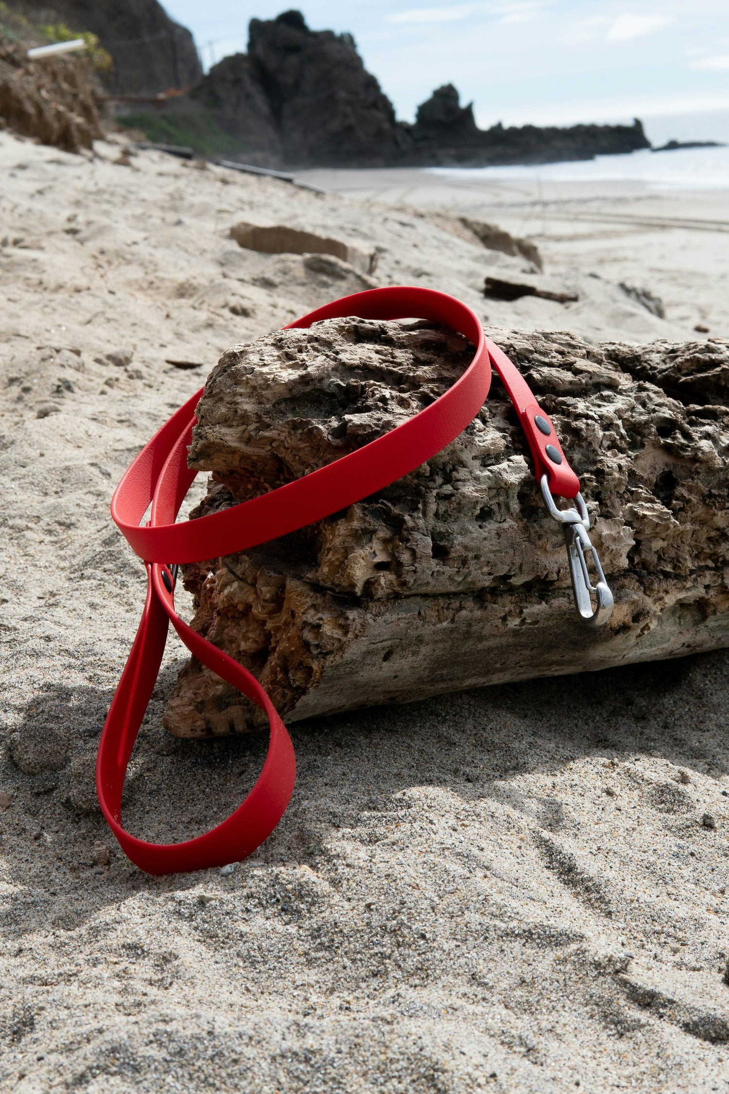 Guinzaglieria per cani