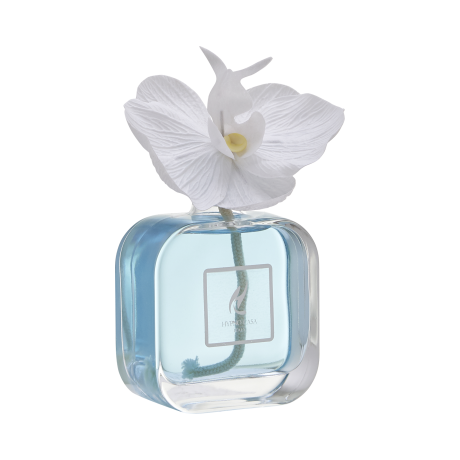 Diffusore con Orchidea Hypno Chic da 100 ml