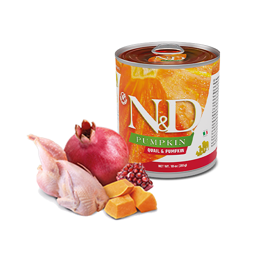 N&D Pumpkin Canine con Quaglia e Zucca