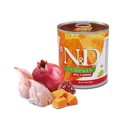 N&D Pumpkin Canine con Quaglia e Zucca