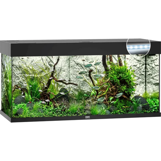 Juwel Acquario Rio 180 LED