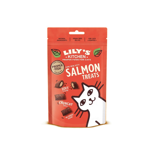 Lily's Kitchen Snack al salmone 60g