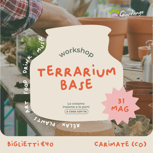 Workshop Terrarium Base