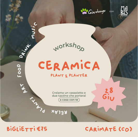 Workshop Ceramica Plant & Planter