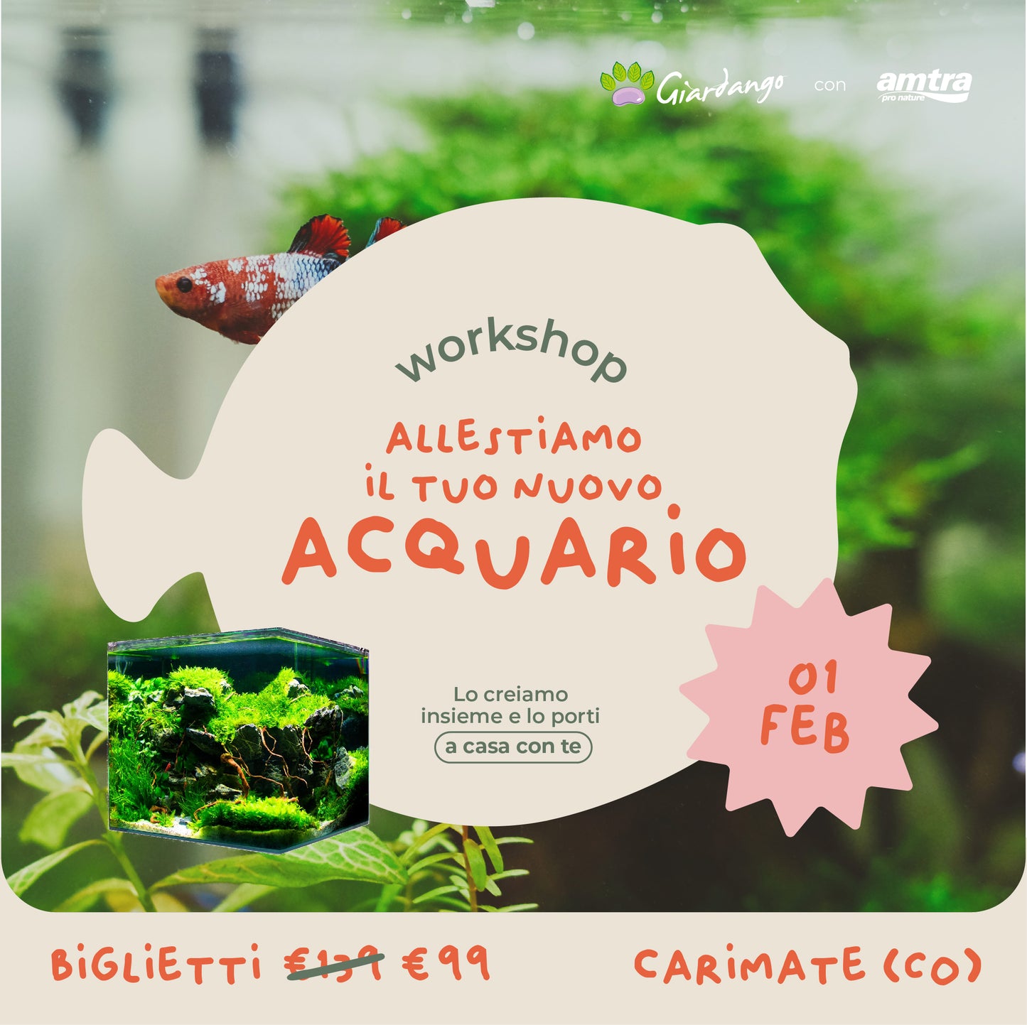 Workshop Allestiamo il tuo nuovo acquario