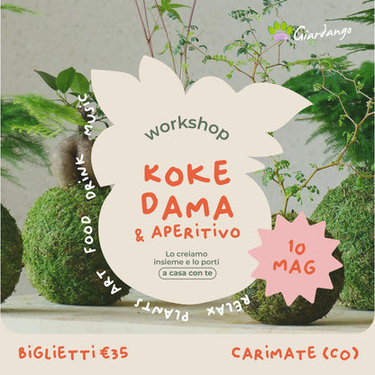 Workshop Kokedama