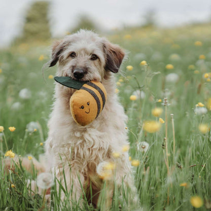 Gioco per cani Florenz - Bumblebee