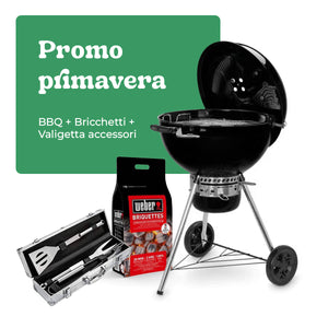 Barbecue a carbone Weber® Master-Touch GBS E-5750