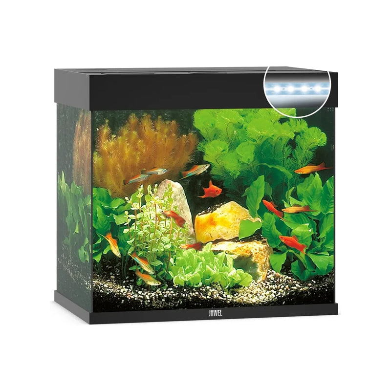 Juwel Acquario Lido 120 LED