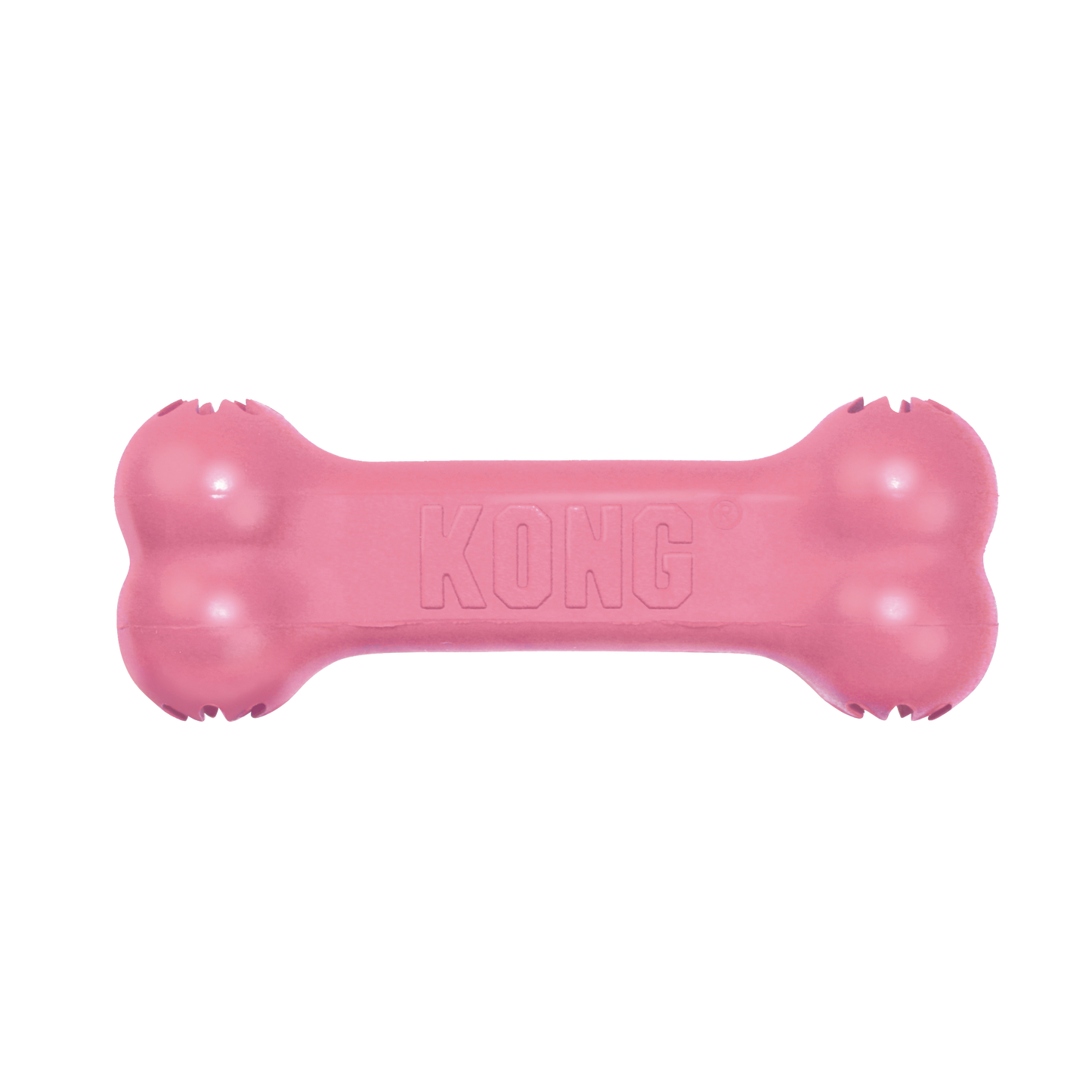 KONG Puppy Goodie Bone