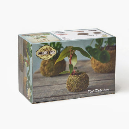 Kit per Kokedama fai da te