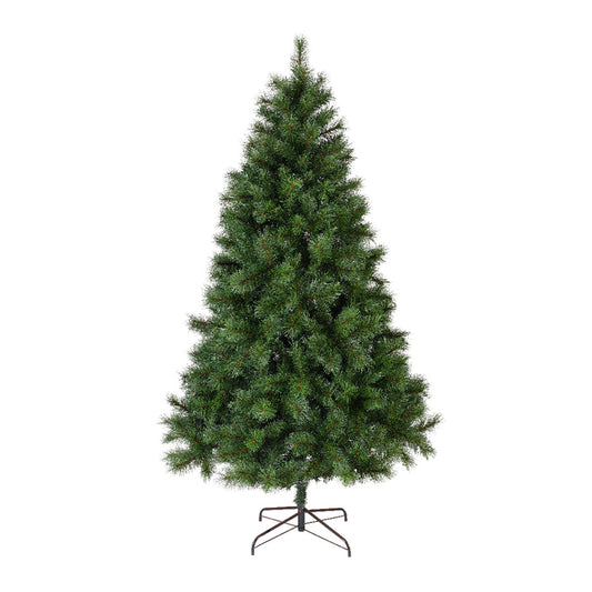 Albero di Natale 'Ontario'