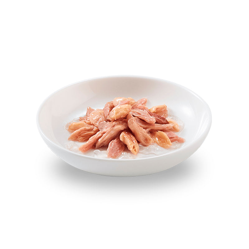 Schesir Cat Tonnetto con Salmone 6 x 50 g