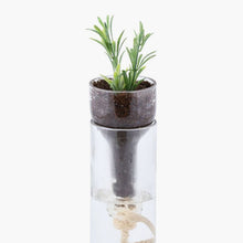 Carica l&#39;immagine nel visualizzatore di Gallery, Vaso con irrigazione automatica
