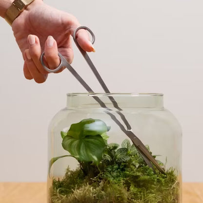 Forbice per Terrarium