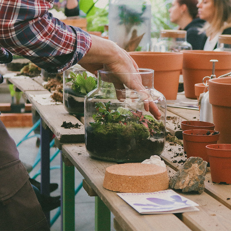 Workshop Terrarium Base - NUOVE DATE