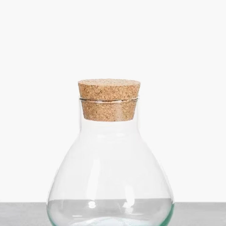 Vaso Emily per terrarium