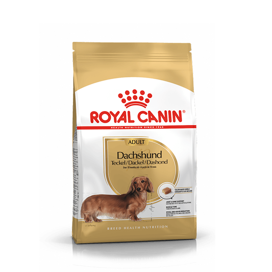 Royal Canin Bassotto Dachsund Adult