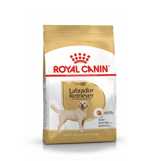 Royal Canin Labrador Retriever Adult