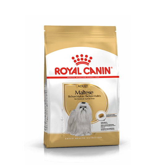 Royal Canin Maltese Adult