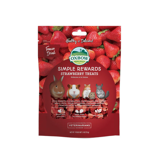 Oxbow Simple Rewards Strawberry Treats con fragole