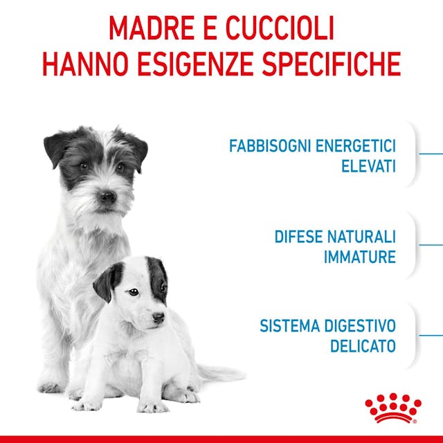 Royal Canin Starter Mini Mother & Babydog