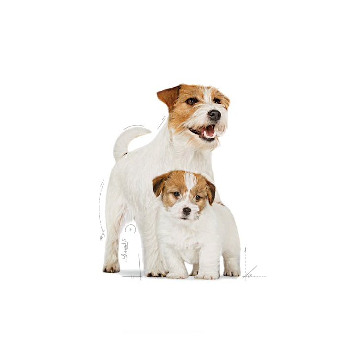 Royal Canin Starter Mini Mother & Babydog