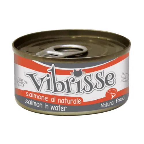 Vibrisse Cat Salmone al naturale 70 g