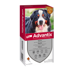 Advantix Spot-on per cani oltre 40kg