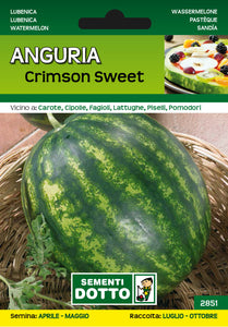 Anguria Crismon Sweet