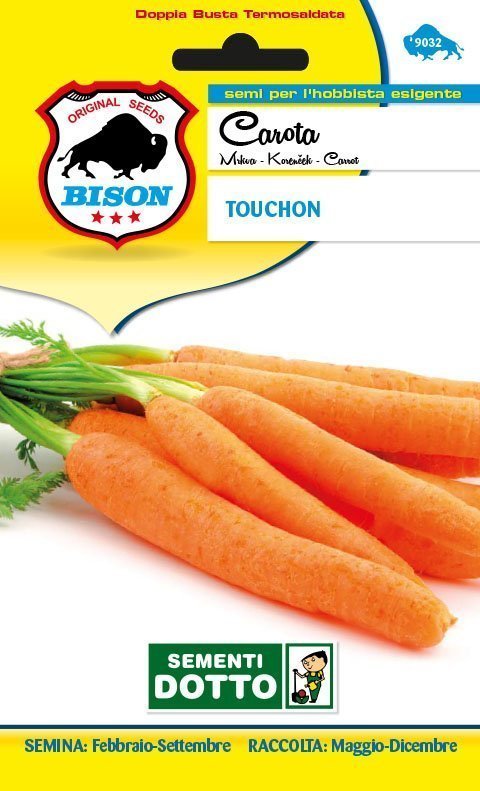 Carota Touchon