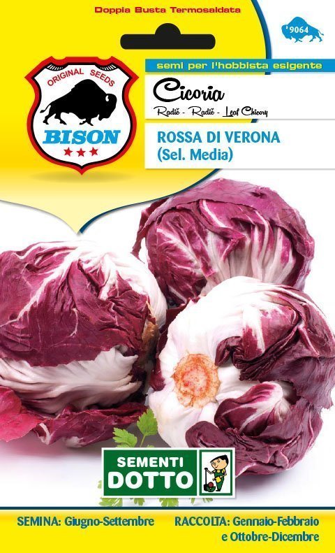 Cicoria Rossa di Verona (sel. Media)